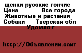 щенки русские гончие › Цена ­ 4 000 - Все города Животные и растения » Собаки   . Тверская обл.,Удомля г.
